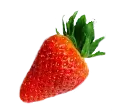 Aardbei